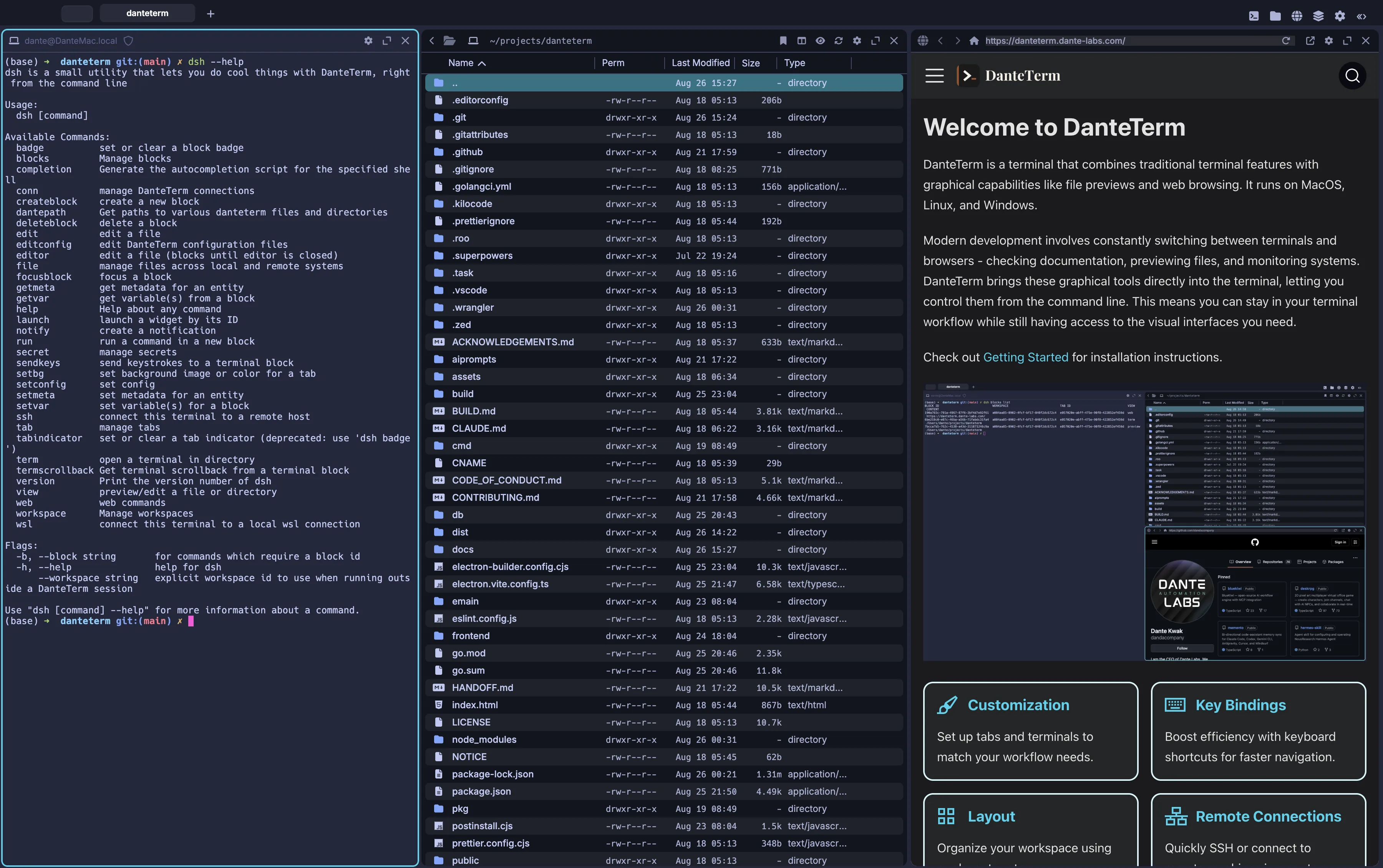 DanteTerm Screenshot